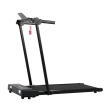Esteira Ergométrica Elétrica Gallant Compact Fold 1,6hp 10km/H 110kg 220V (GEE11M16A-220PT)
