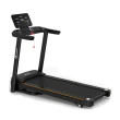 Esteira Ergométrica Elétrica Gallant Elite 2.8hp 16kmh 120kg 127V (GEE12M28A-127PT)