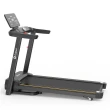 Esteira Ergométrica Elétrica Gallant Elite 2.8hp 16kmh 120kg 220V (GEE12M28A-220PT)