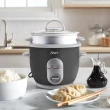 Panela Elétrica de Arroz Oster Facile Cinza 004722 220V 